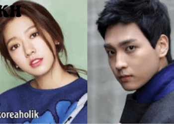 Park Shin Hye and Choi Tae Joon's relationship
