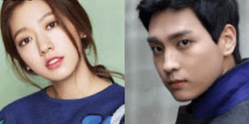 Park Shin Hye and Choi Tae Joon's relationship