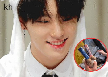 SEVENTEEN Fan Goes Viral Over Hilarious Dino Mishap