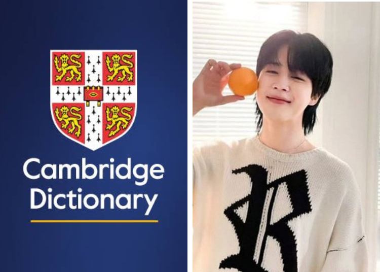 Cambridge Adds 'Delulu' Thanks to BTS Jimin's Viral Meme
