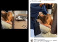 Lisa is accused of harassing the Japanese actor Sakaguchi BTS