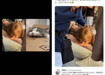Lisa is accused of harassing the Japanese actor Sakaguchi BTS