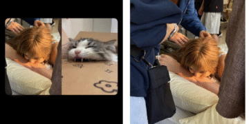 Lisa is accused of harassing the Japanese actor Sakaguchi BTS