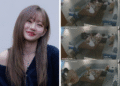 Fans Shocked As Video Of Julie With VERIVERY’s Kangmin And Yeonho
